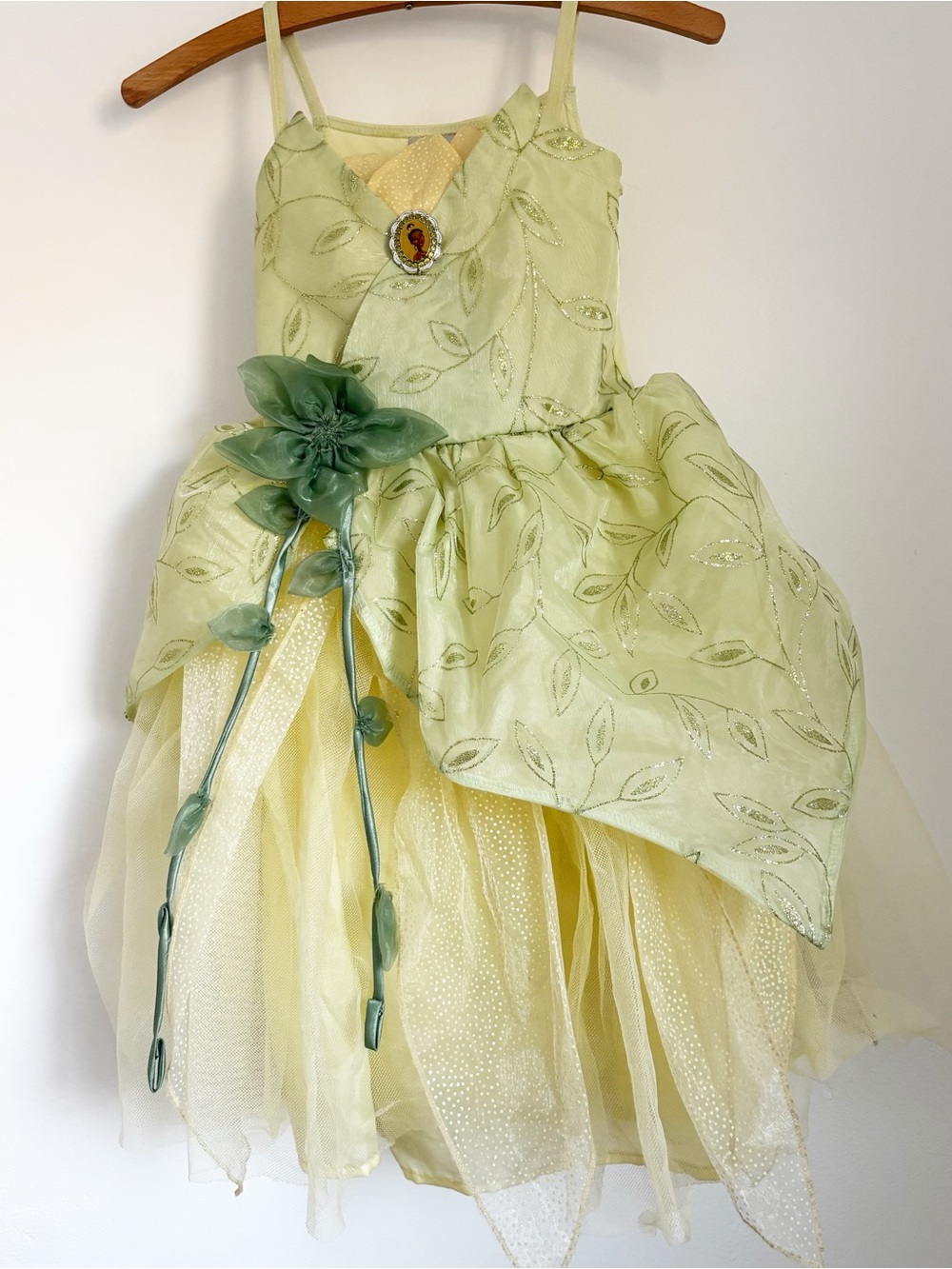Disney Parks Wdw Tiana Princess & The Frog Dress Halloween Costume Child Sz 6